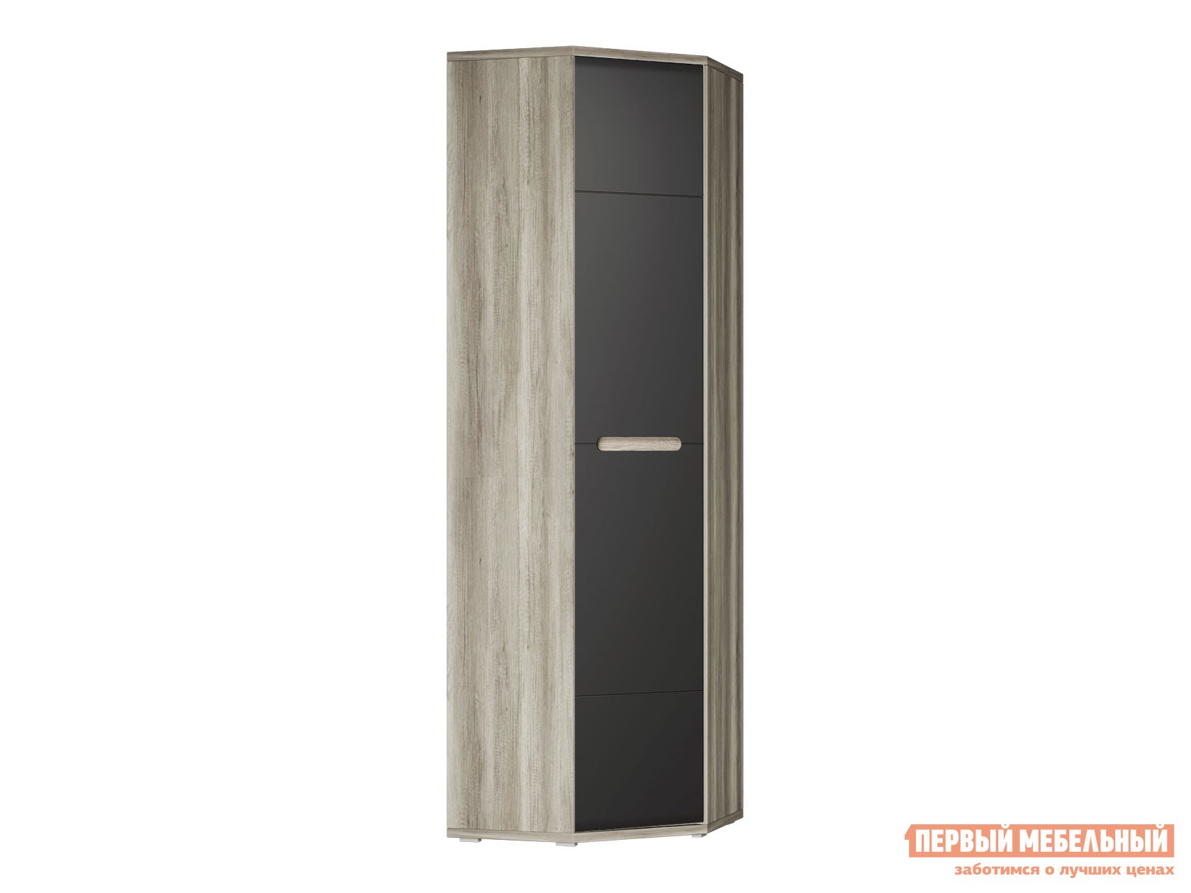 Распашной шкаф  Наоми Лайт Дуб Каньон / Графит нубук