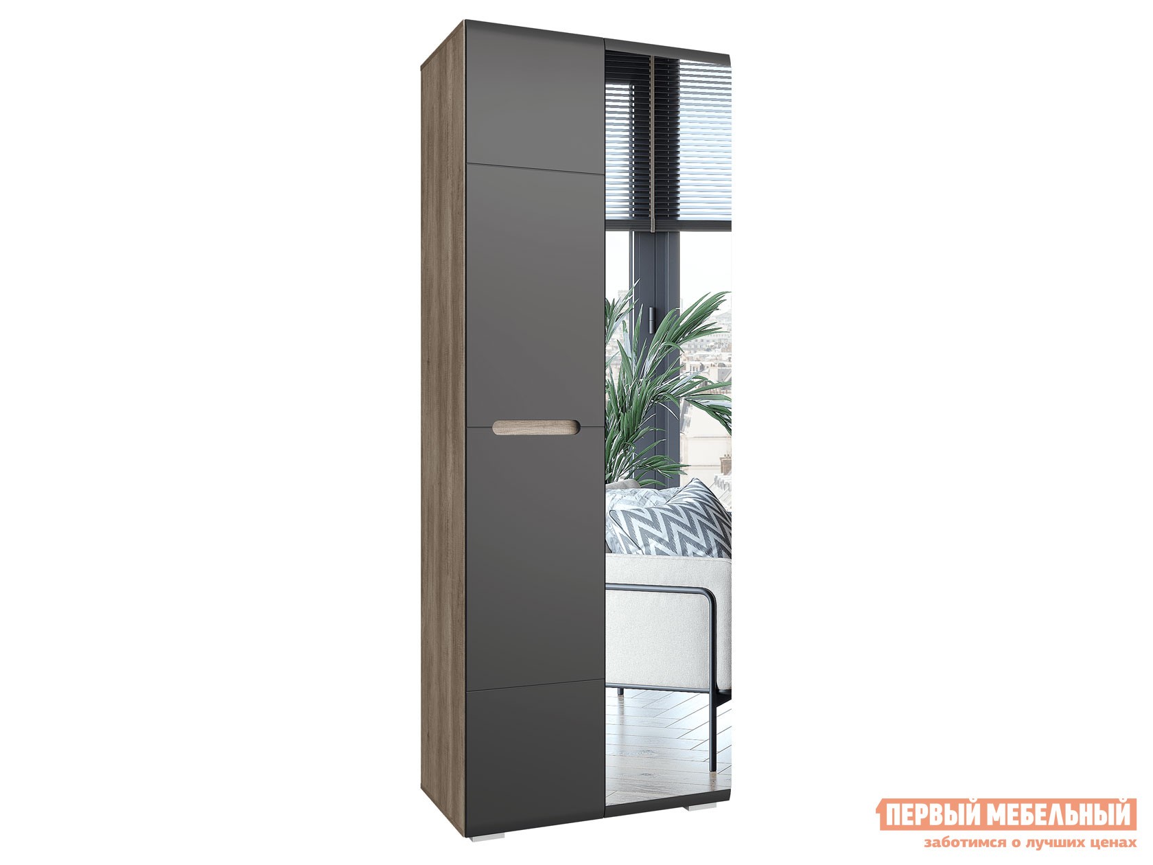 Распашной шкаф  Наоми Лайт Дуб Каньон / Графит нубук