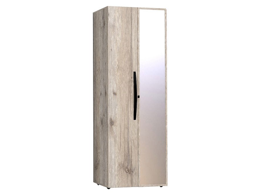 Распашной шкаф  Натура Гаскон Пайн / Черный, С одним зеркалом