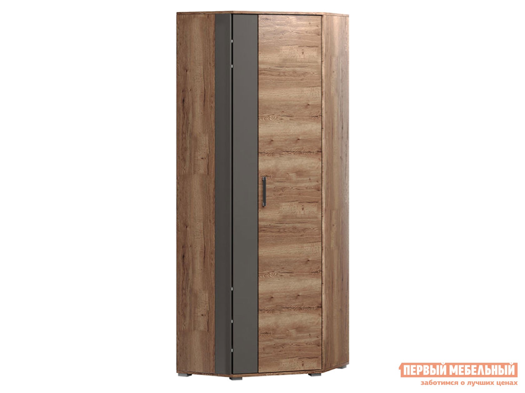 Распашной шкаф  Ханна Дуб Галифакс Табак / Серый