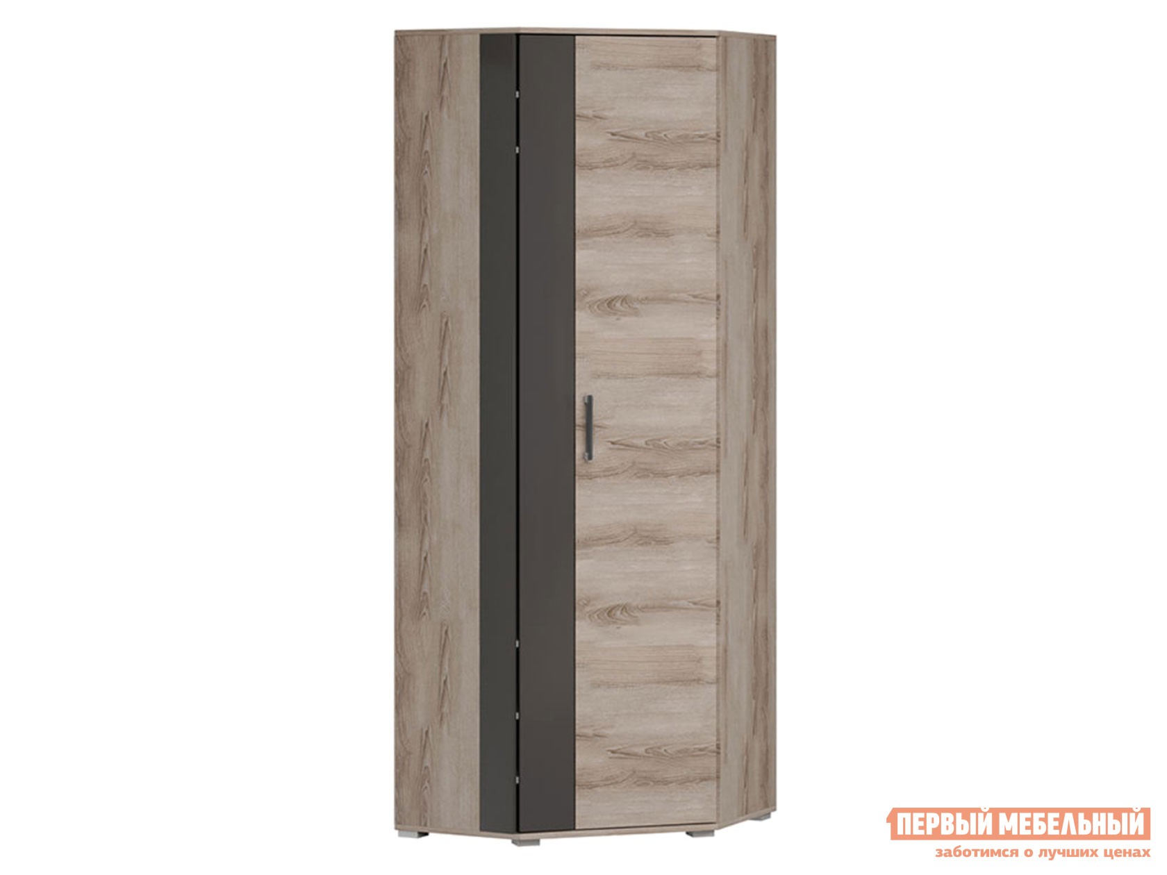 Распашной шкаф  Ханна Ясень Таормино / Серый