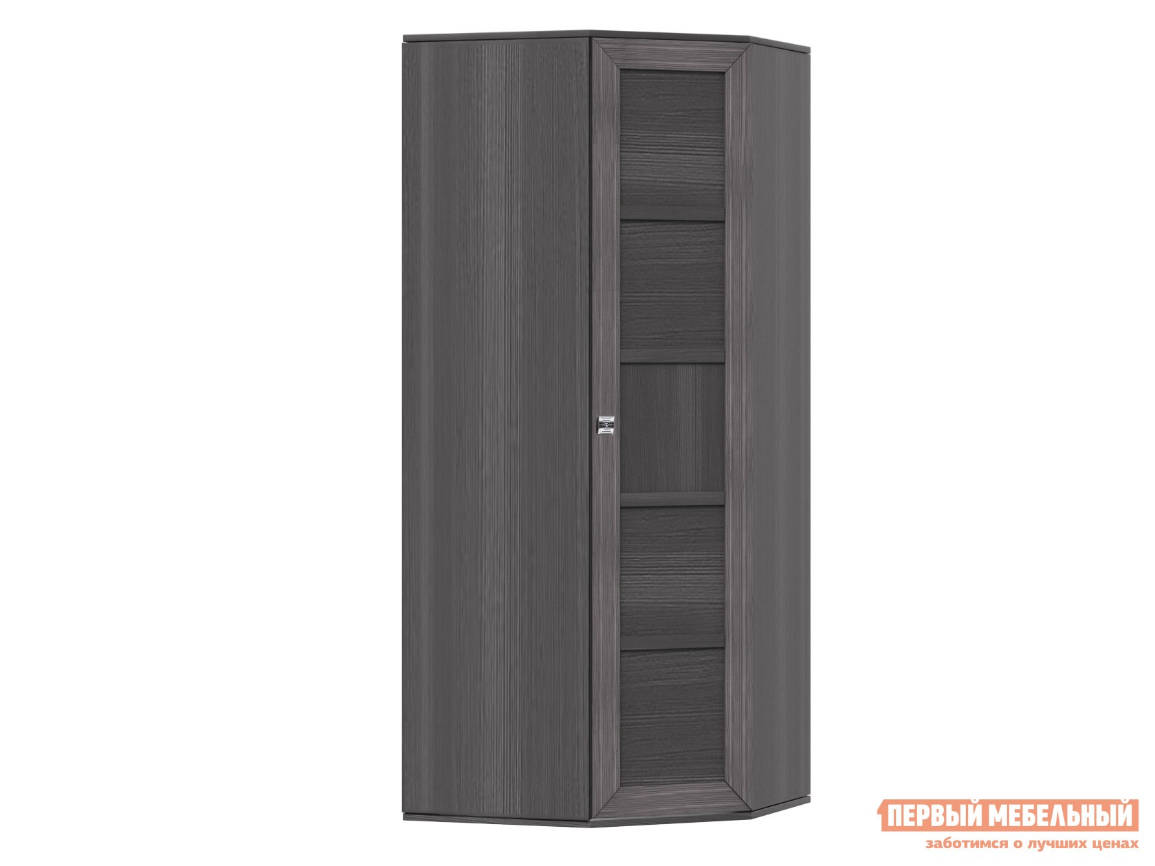Распашной шкаф  Парма Нео 17 Лиственница темная / Экокожа дила, С глухим фасадом