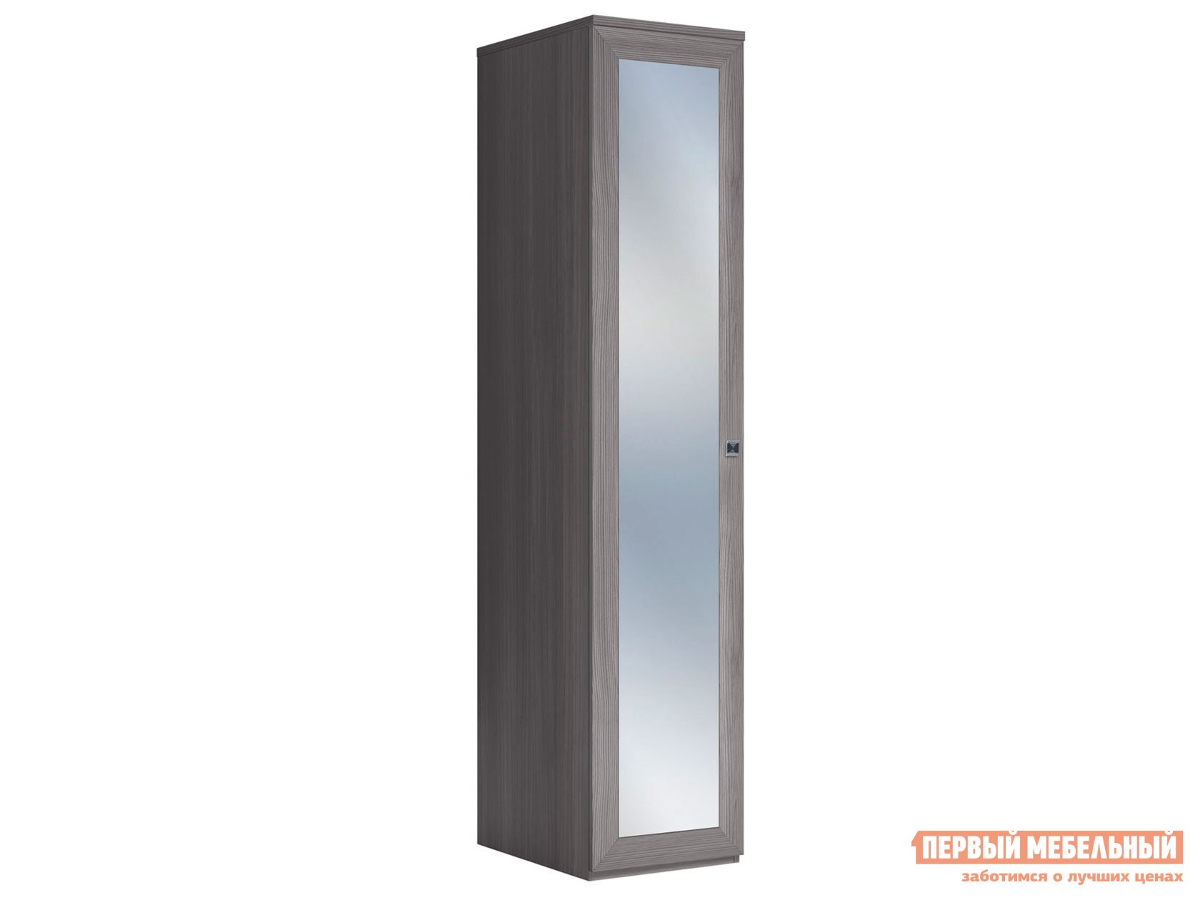Распашной шкаф  Парма Нео 18 Лиственница темная / Экокожа дила, С зеркальным фасадом