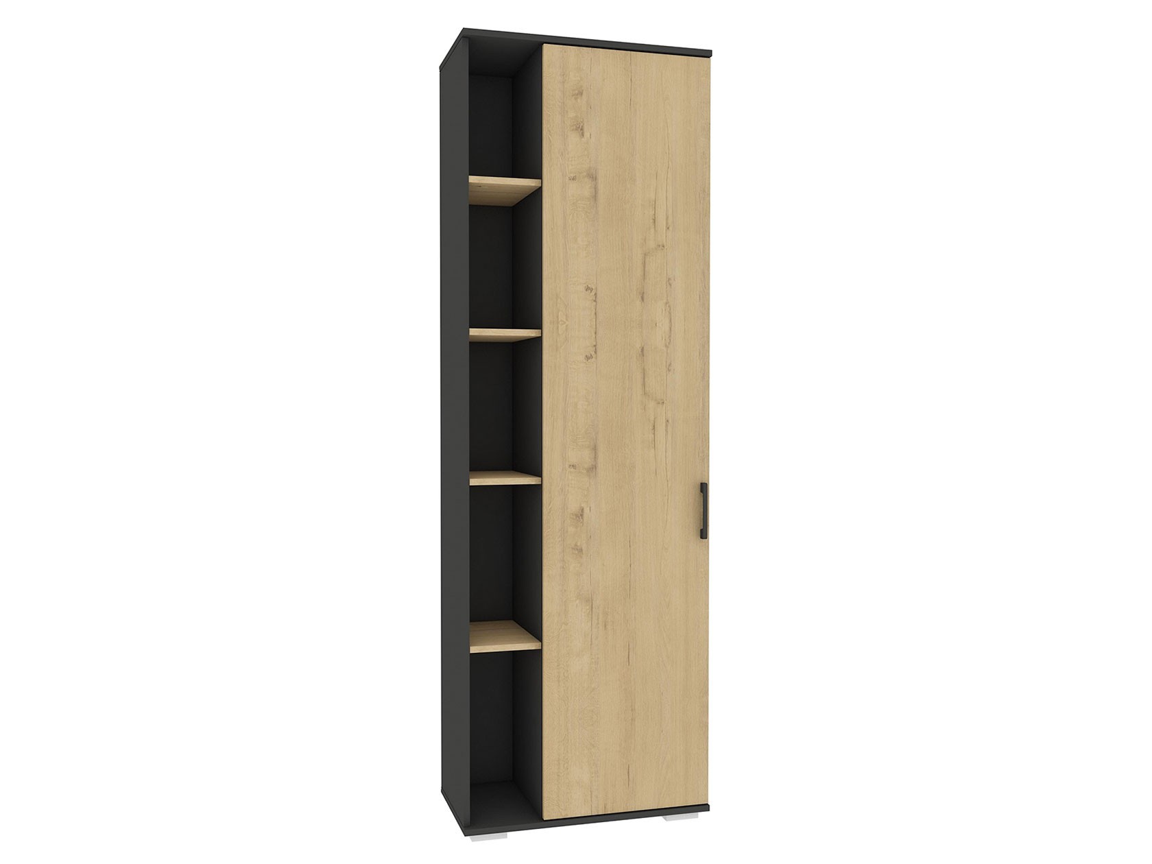 Распашной шкаф  Эстет Темно-серый графит / Бунратти