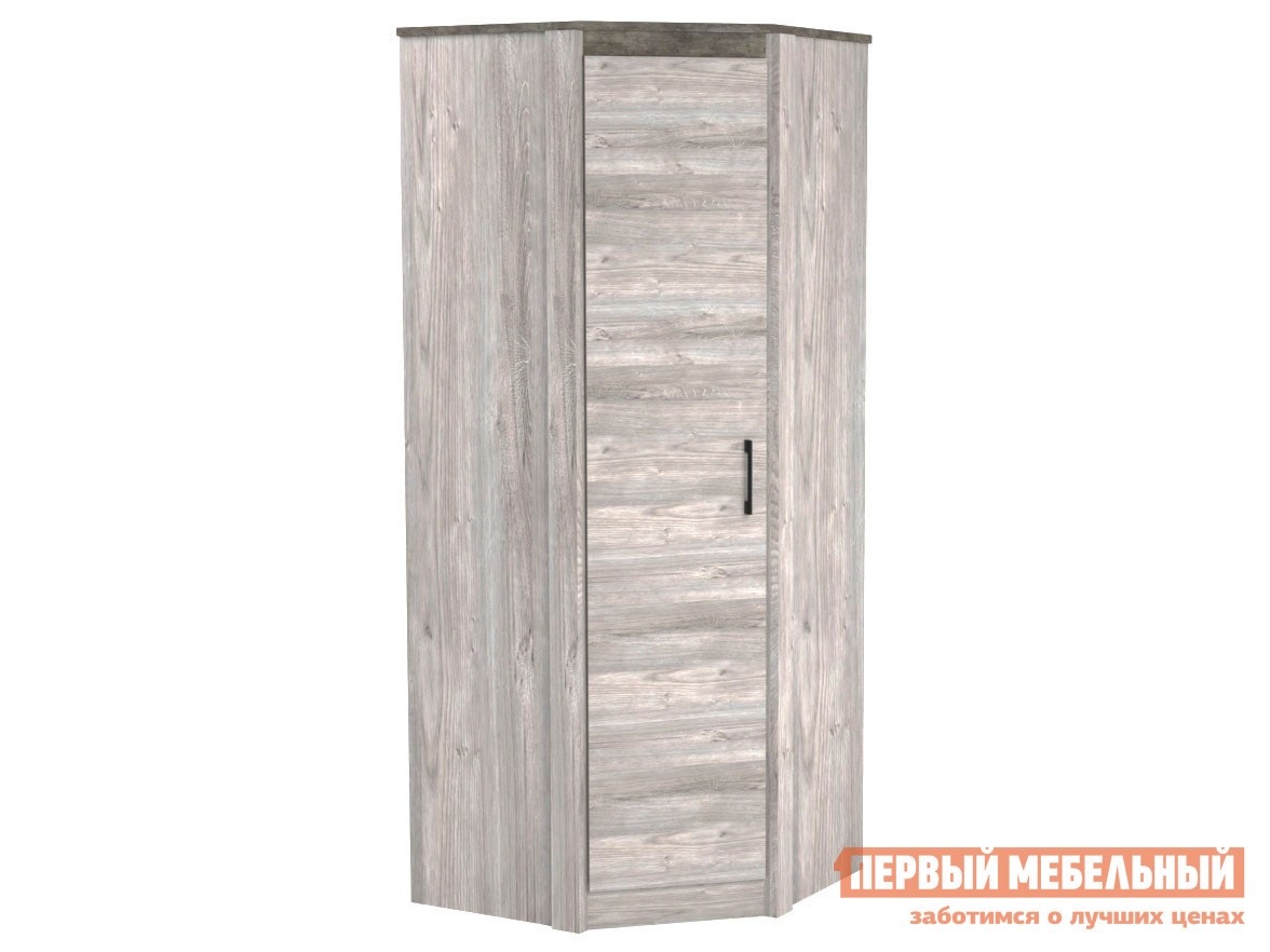 Распашной шкаф  Денвер Риббек серый / Камень темный, С дополнительными полками, Высота 2194 мм