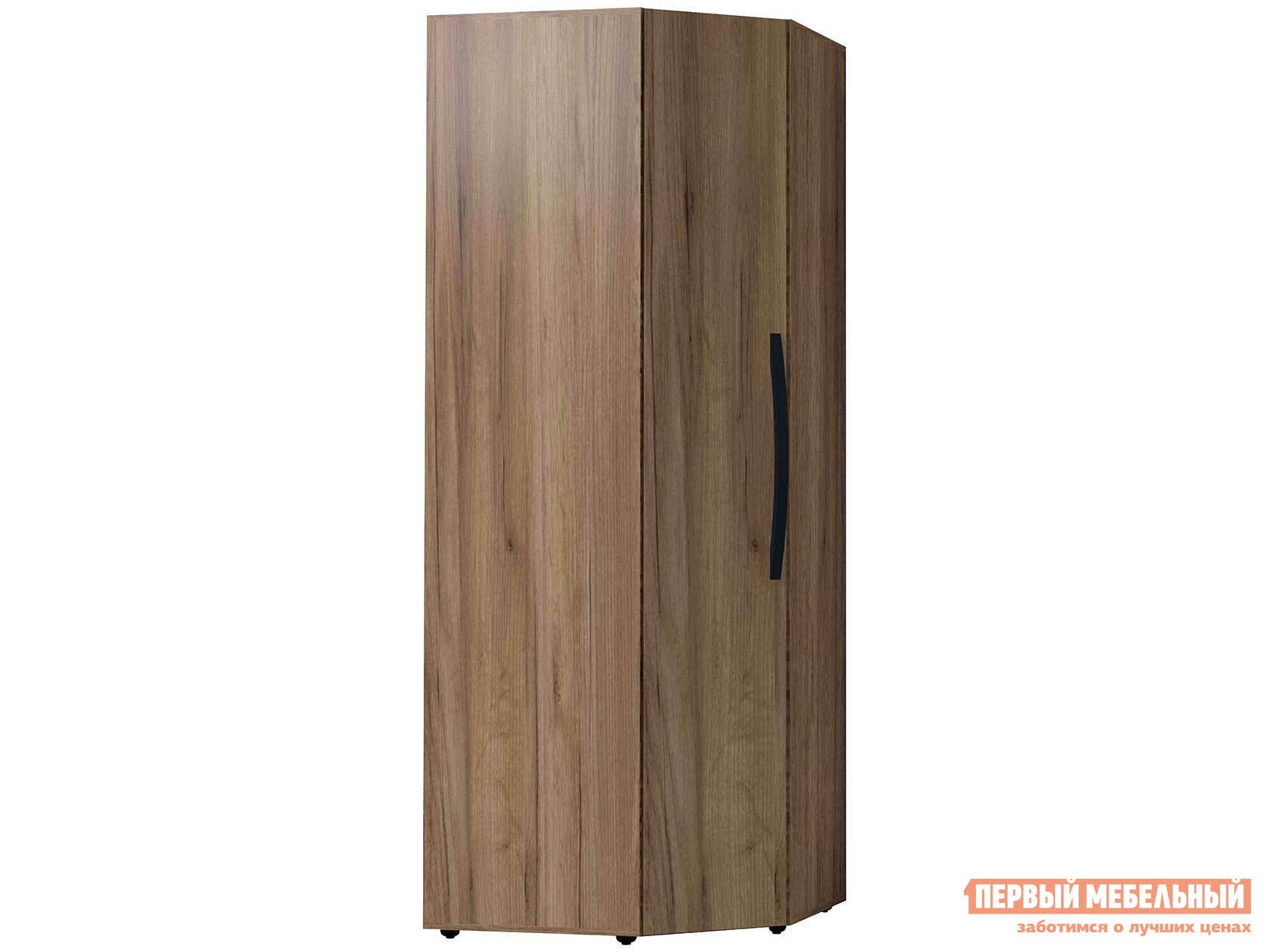 Распашной шкаф  Натура Дуб табачный Craft / Черный