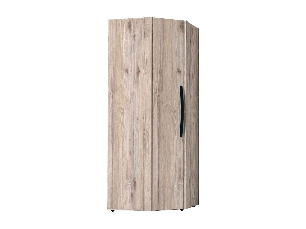 Распашной шкаф  Натура Гаскон Пайн / Черный