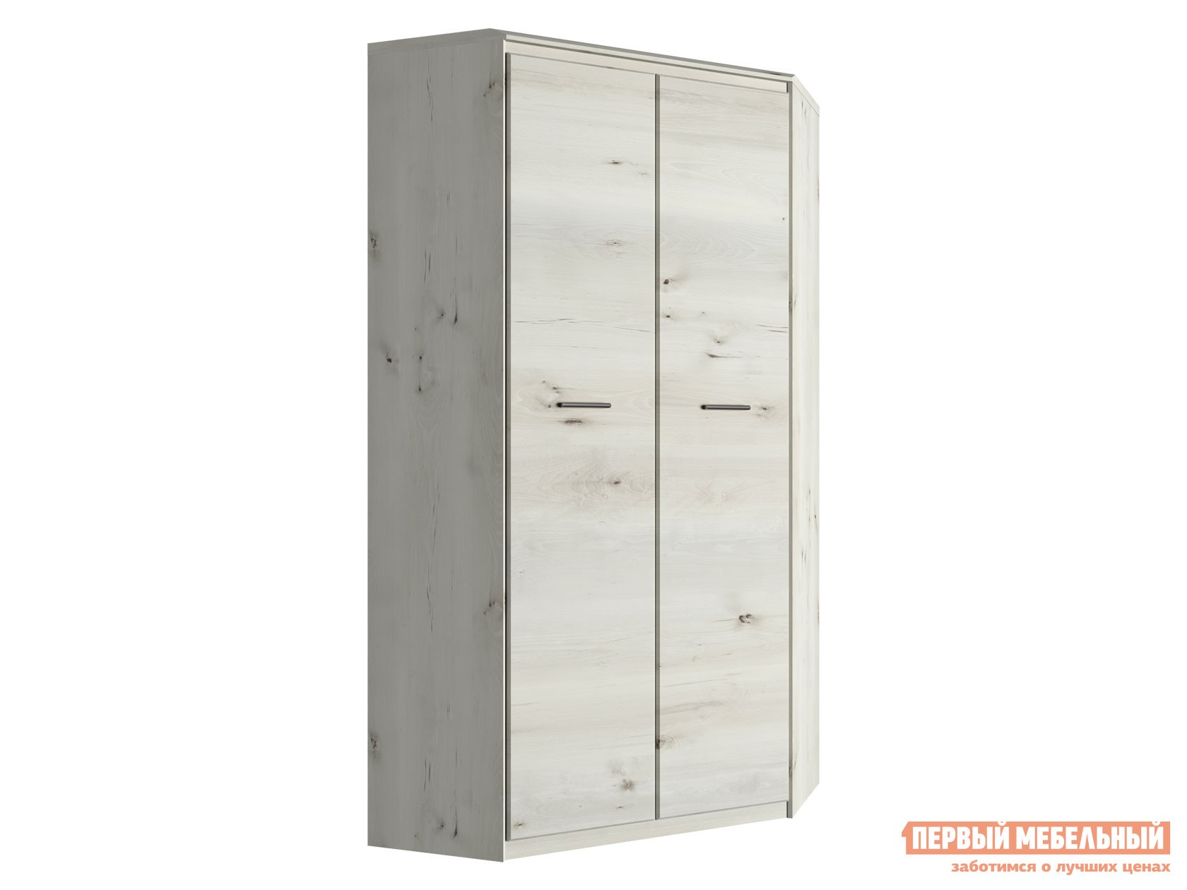 Распашной шкаф  Бьерк Ольха полярная