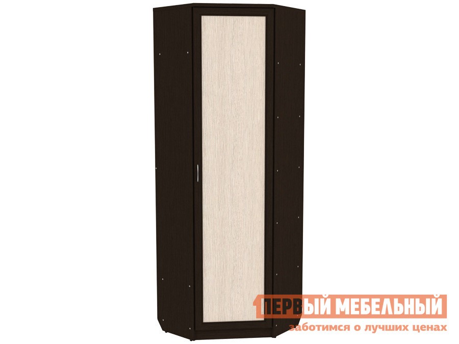 Распашной шкаф  Мерлен Венге / Дуб Атланта, Без зеркала