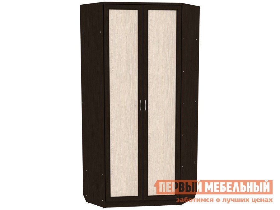 Распашной шкаф  Мерлен 401 Венге / Дуб Атланта, Без зеркала