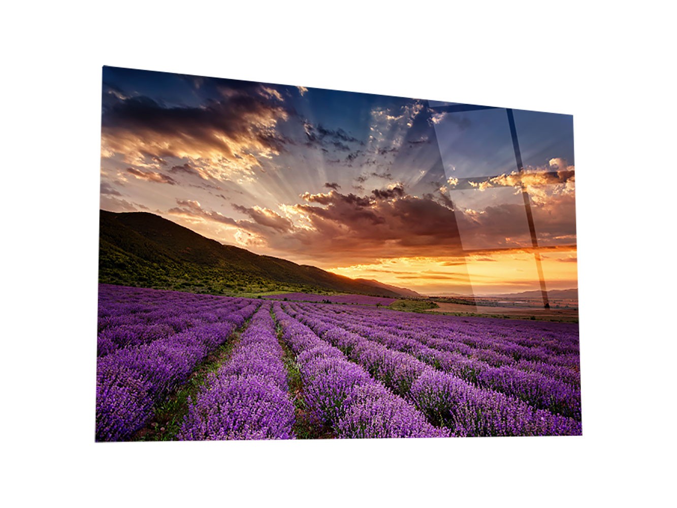Картина  Лавандовое поле Стекло