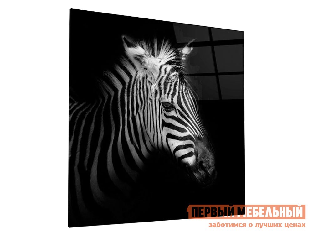 Картина  Зебра Стекло
