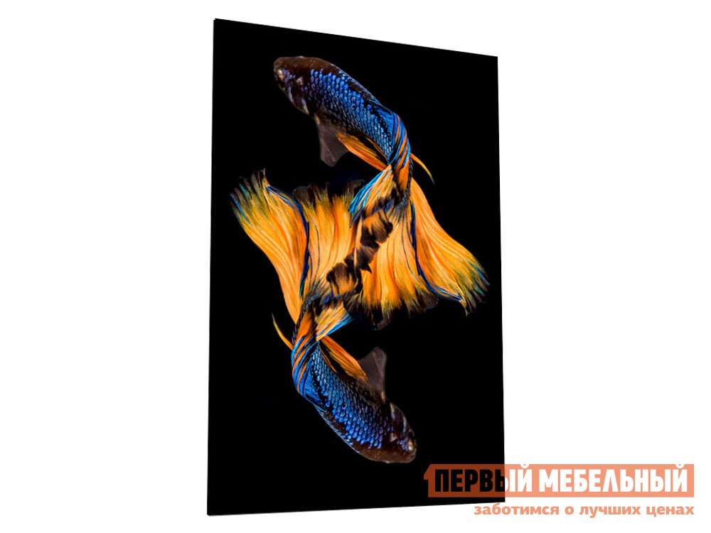 Картина  Бойцовая рыбка Стекло