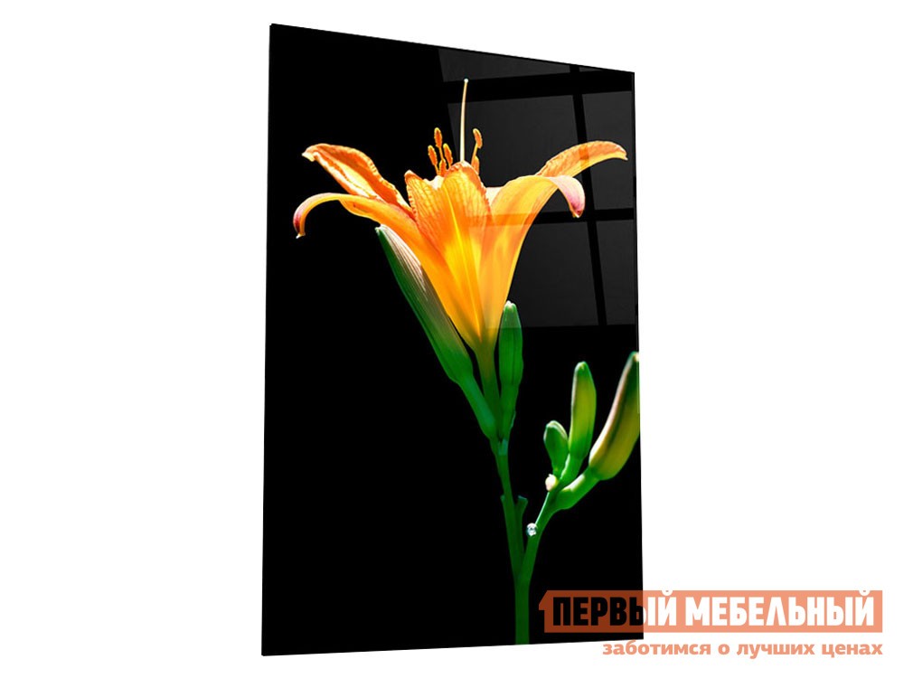 Картина  Лилия Стекло