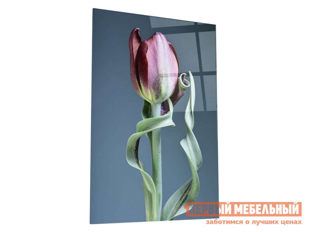 Картина  Цветочная фантазия Стекло