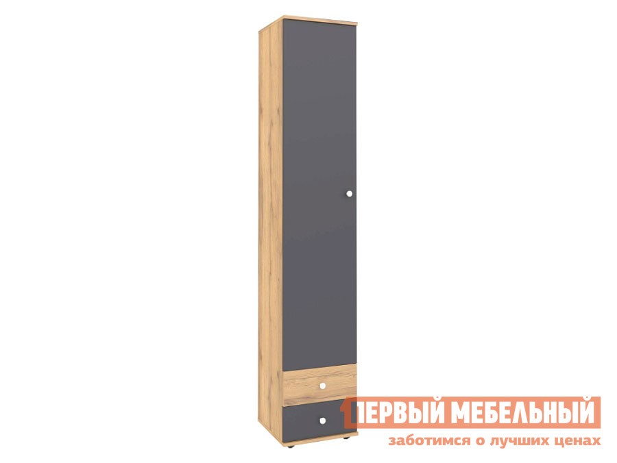 Детский шкаф  Лойс Дуб золотистый / Графит