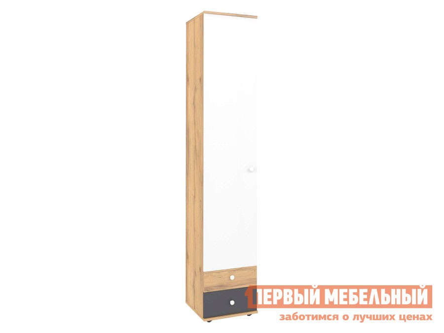 Детский шкаф  Лойс Дуб золотистый / Белый / Графит