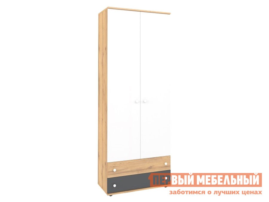 Детский шкаф  Лойс Дуб золотистый / Белый / Графит