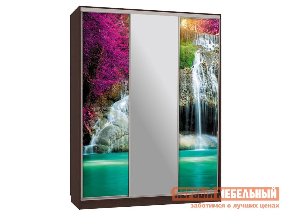 Шкаф-купе  Бассо 10 Водопад Венге