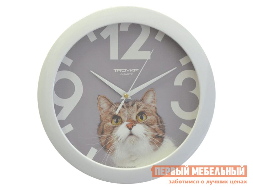 Часы  Кот Молочный, пластик