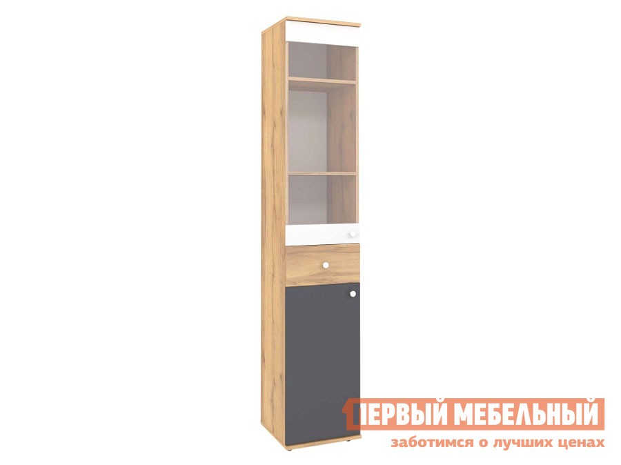 Детский шкаф  Лойс Дуб золотистый / Белый / Графит