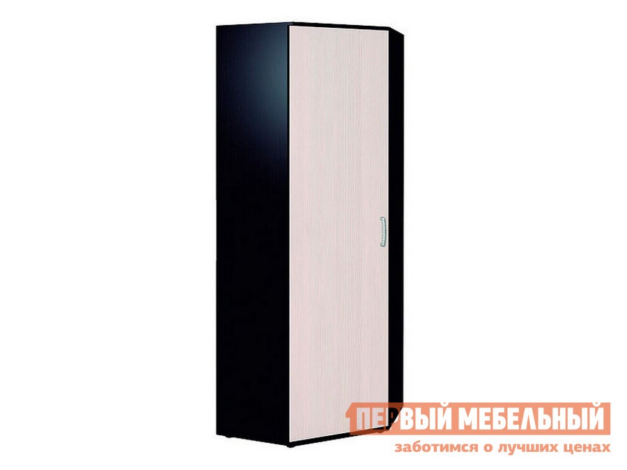 Распашной шкаф  Виспа Венге / Бодега светлый