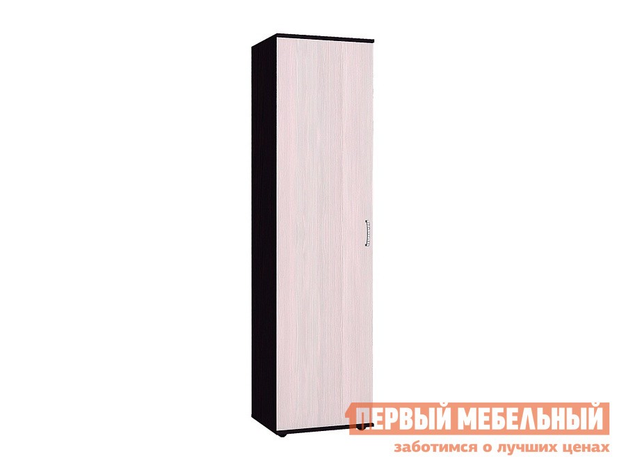 Распашной шкаф  Виспа Венге / Бодега светлый