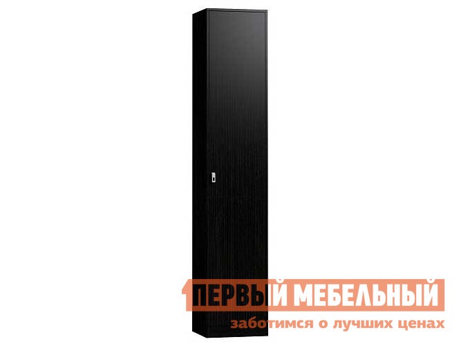 Распашной шкаф  Комфорт Венге